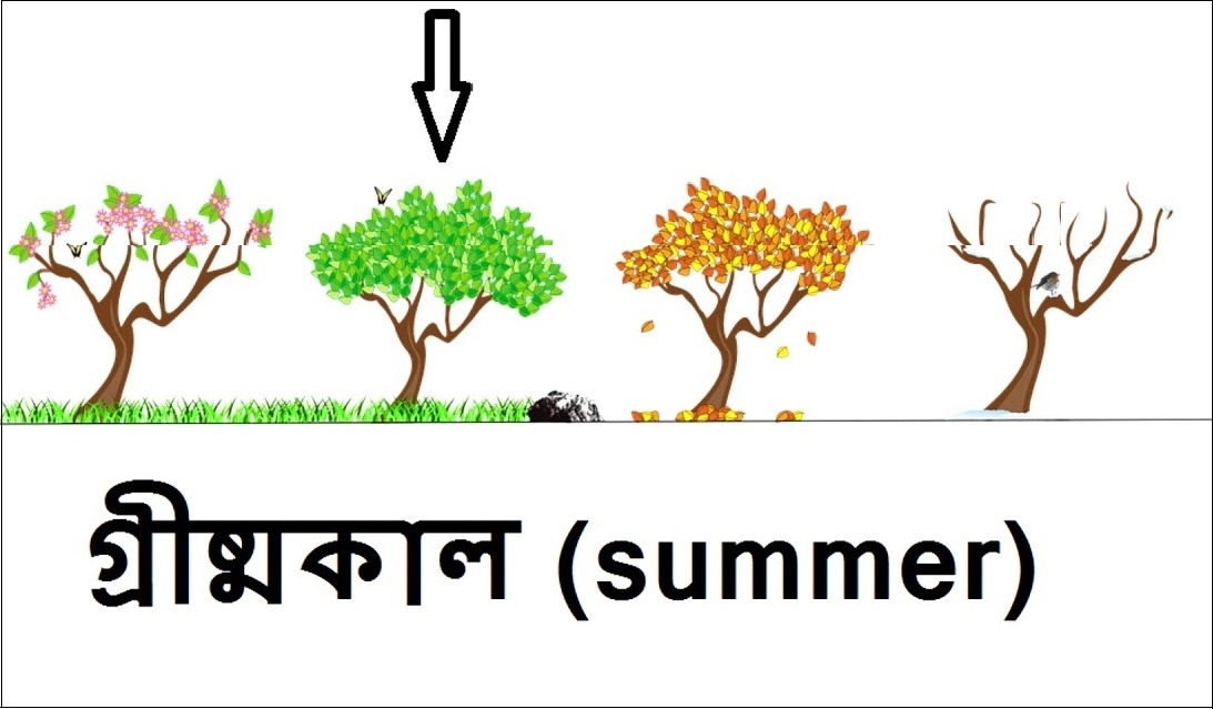 Summer in Bengal